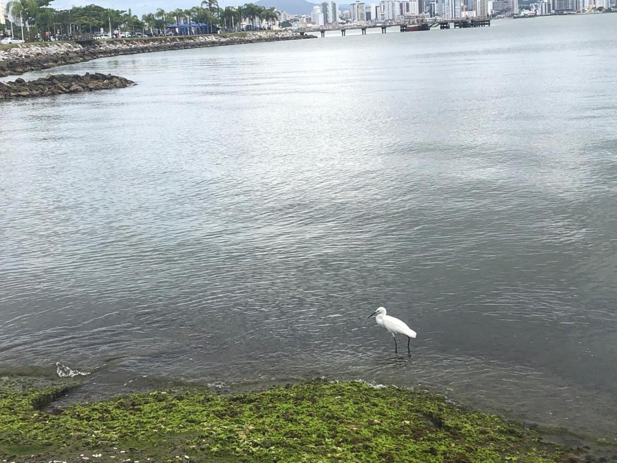 Florianopolis Beiramar Apartment Bagian luar foto